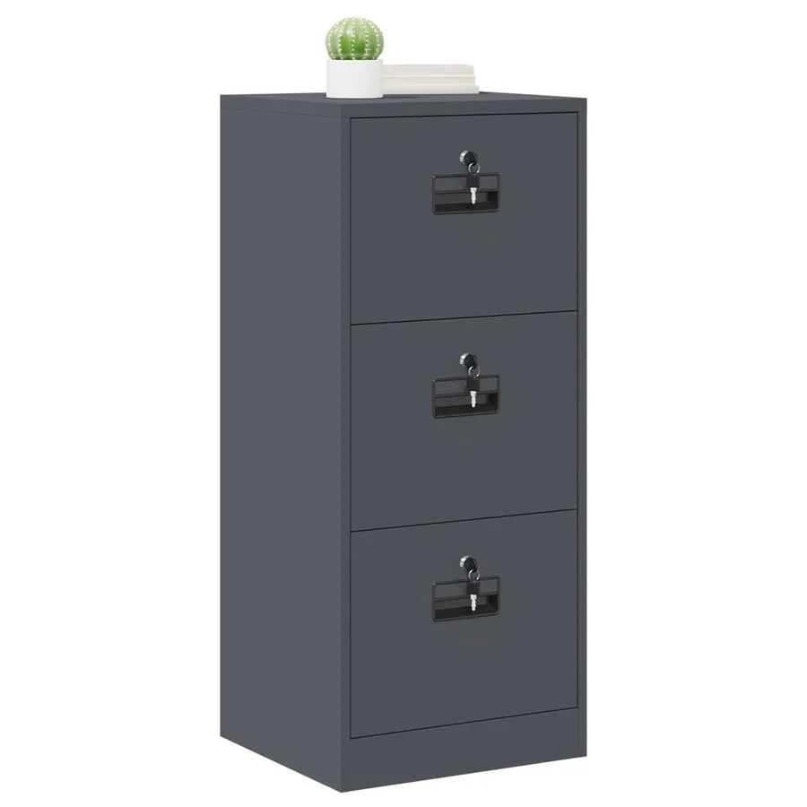 Cabinet de Dossier avec tiroir Anthracite 45,5 x 42 x 106,5 cm - 3