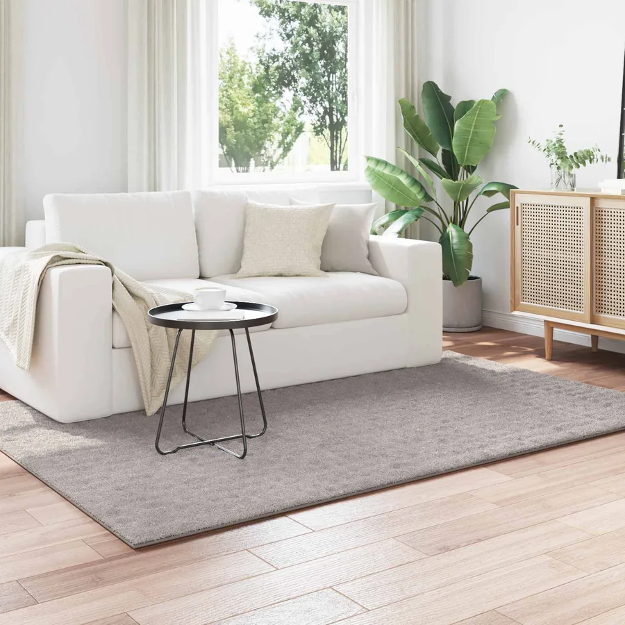Tapis de surface SIROLO Sable 230 x 160 cm Polyester