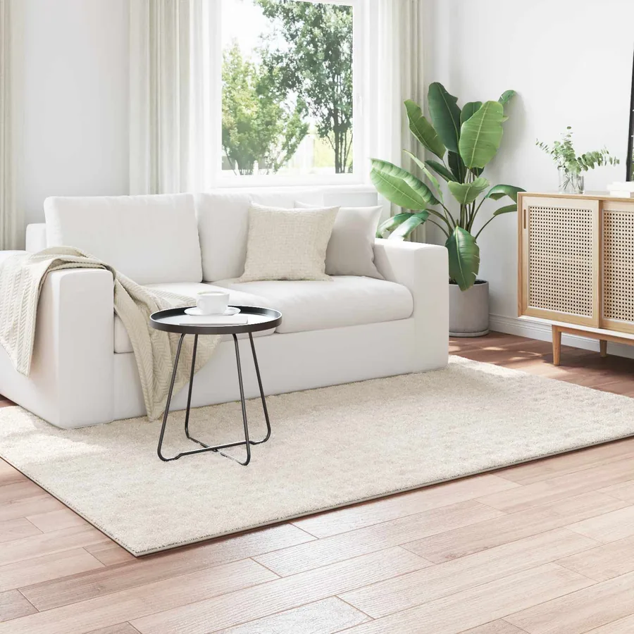 Tapis de surface SIROLO Crème 170 x 120 cm Polyester