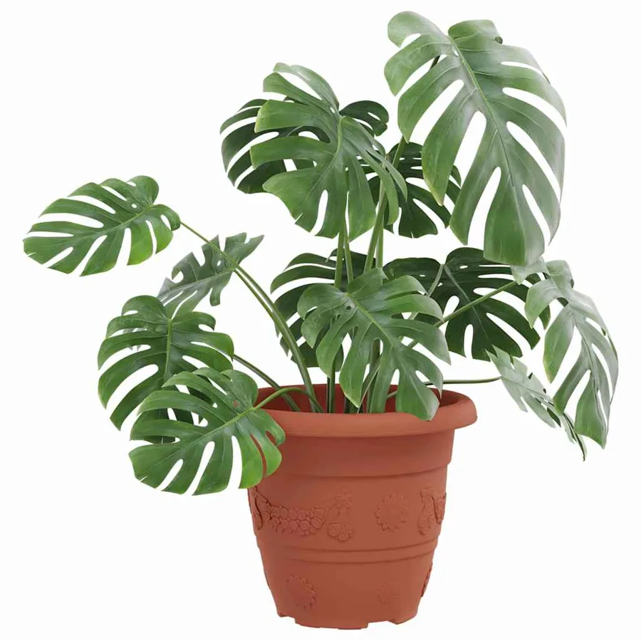 Pot à fleurs rond 24 pcs Rouge brique Ø 22 x 18 cm Plastique - 3