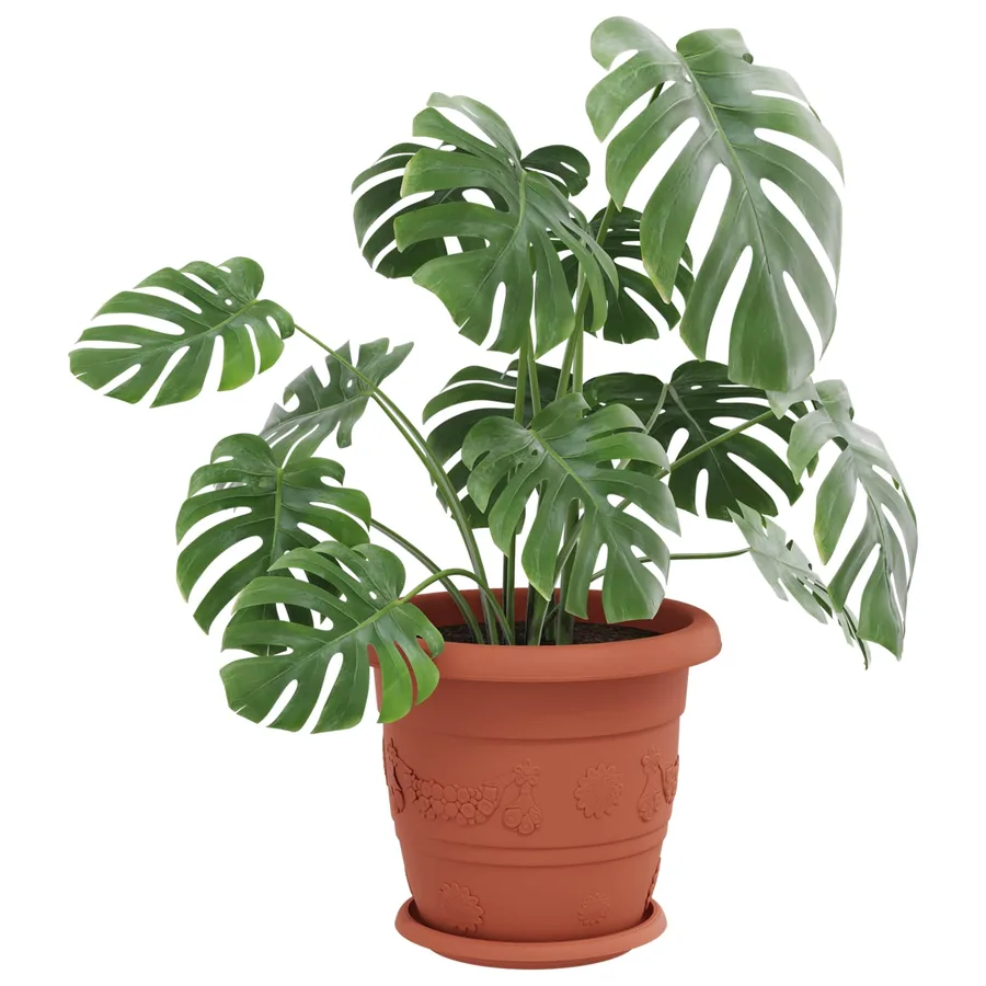 Pots de plantes 24 pcs Rouge brique Ø 30 x 25 cm Plastique - 3