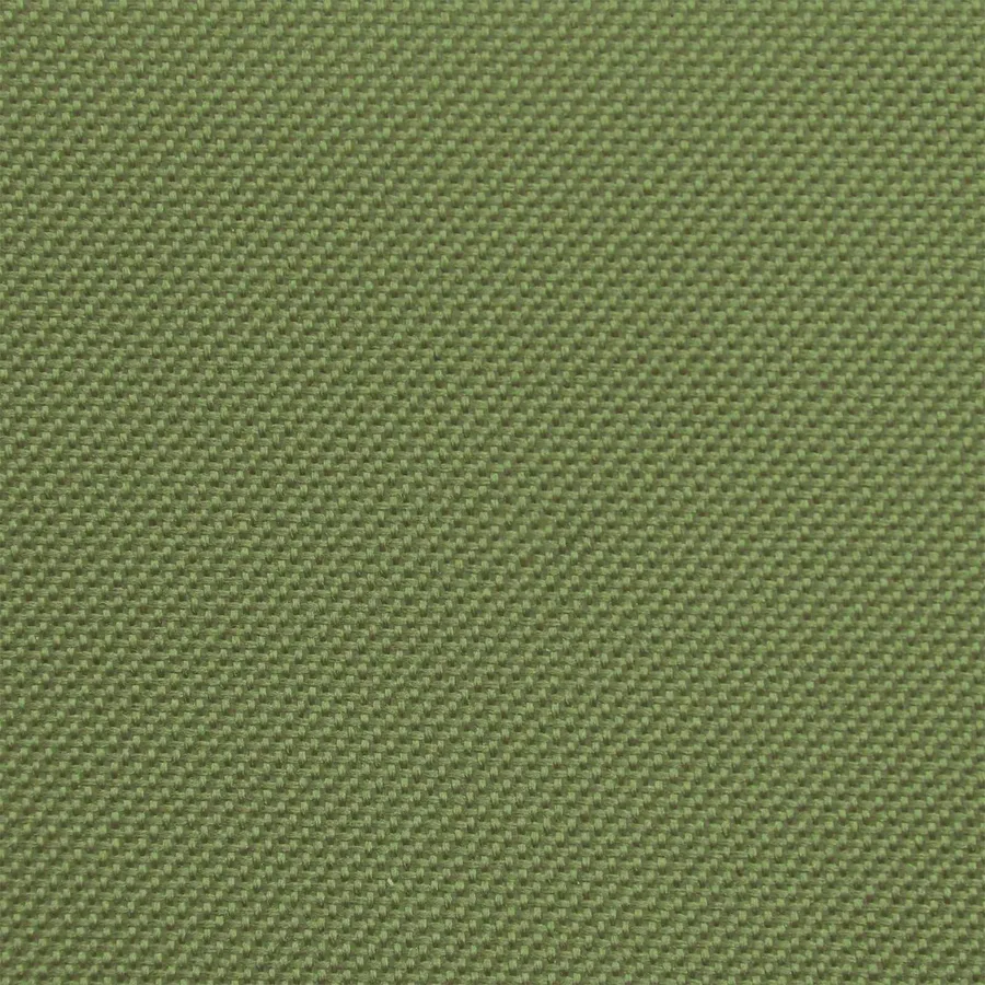 Transat pliant avec coussin Vert foncé - 23