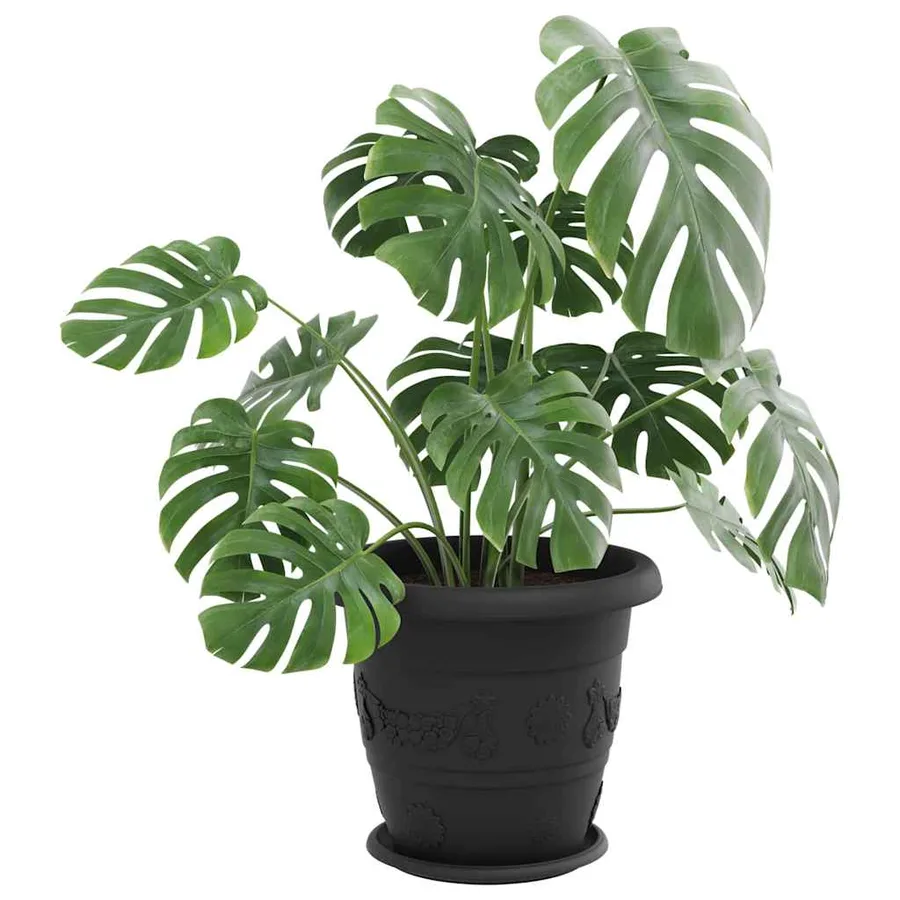 Plateau à fleurs rond 24 pcs Noir Ø 27 x 2,5 cm Plastique - 3