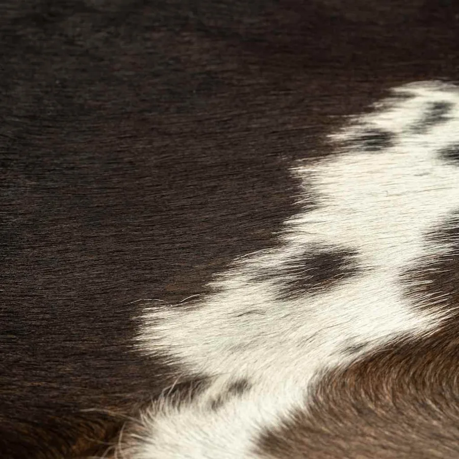 Tapis en peau de vache véritable Noir 150 x 170 cm - 3