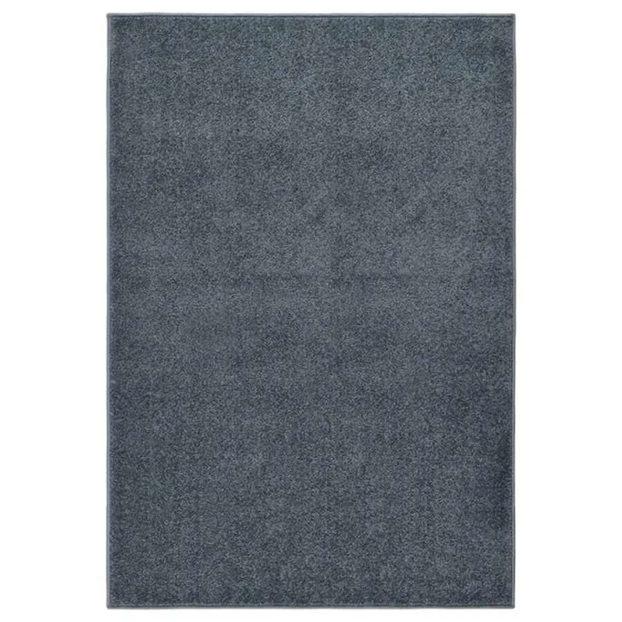 Tapis à poils courts 160x230 cm Anthracite
