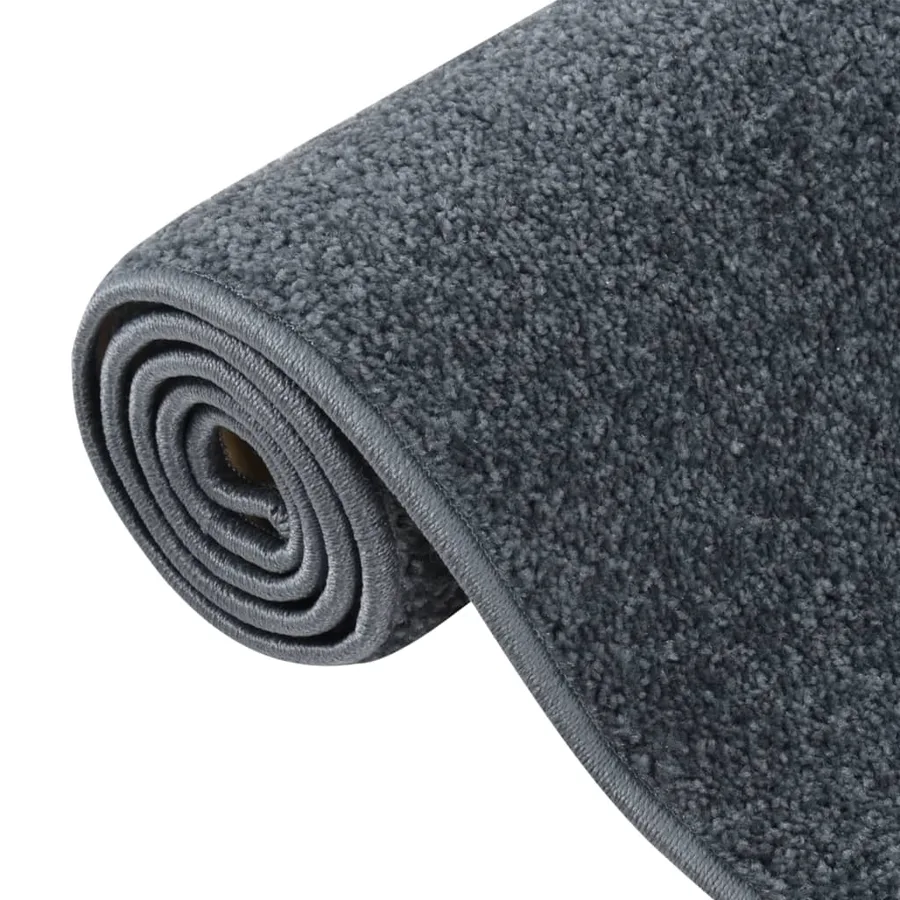 Tapis à poils courts 160x230 cm Anthracite - 5