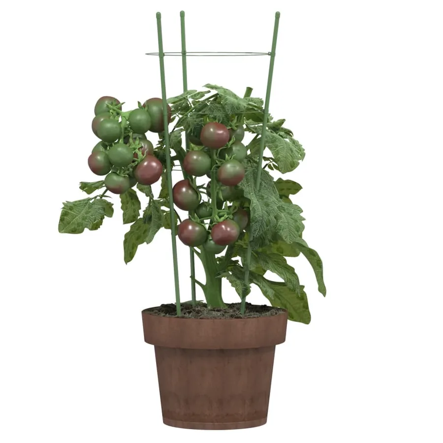 Supports pour plantes de jardin 3 anneaux 5pcs Vert 45 cm Acier - 3