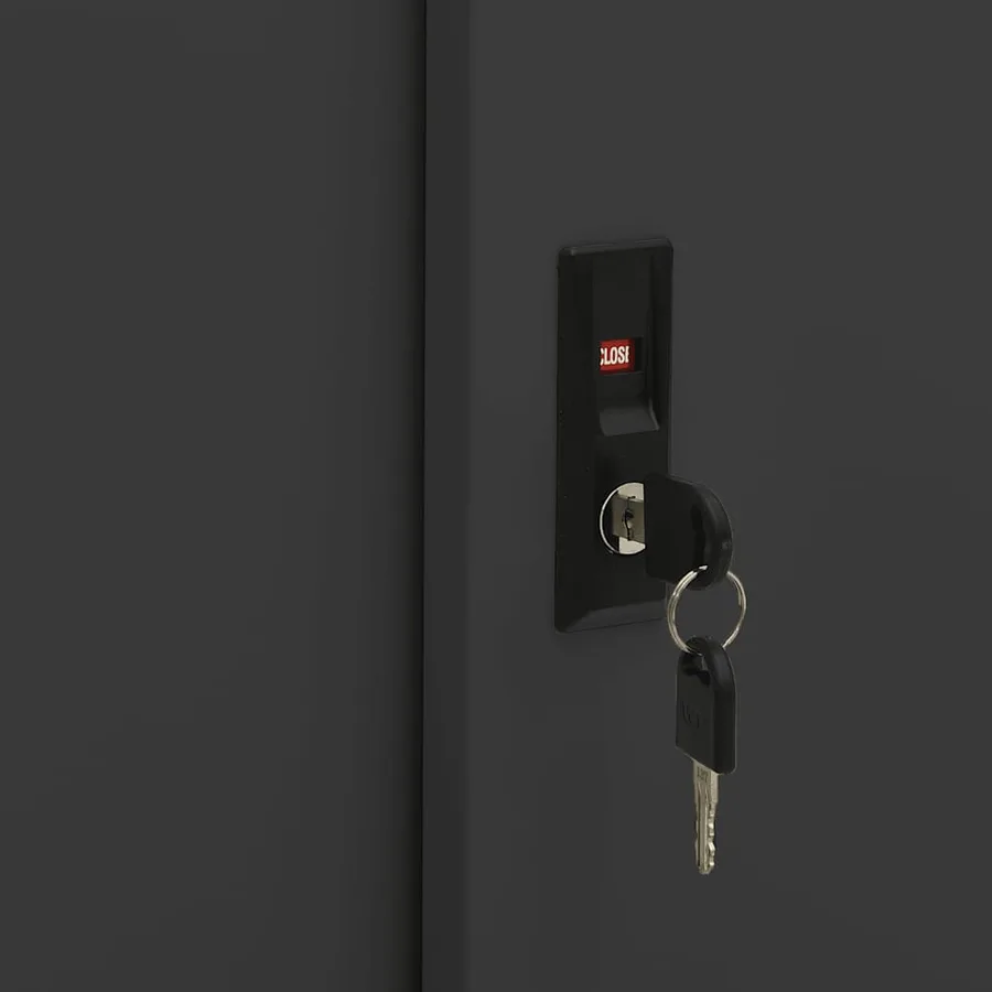 Armoire à portes coulissantes avec jardinière Anthracite Acier - 9