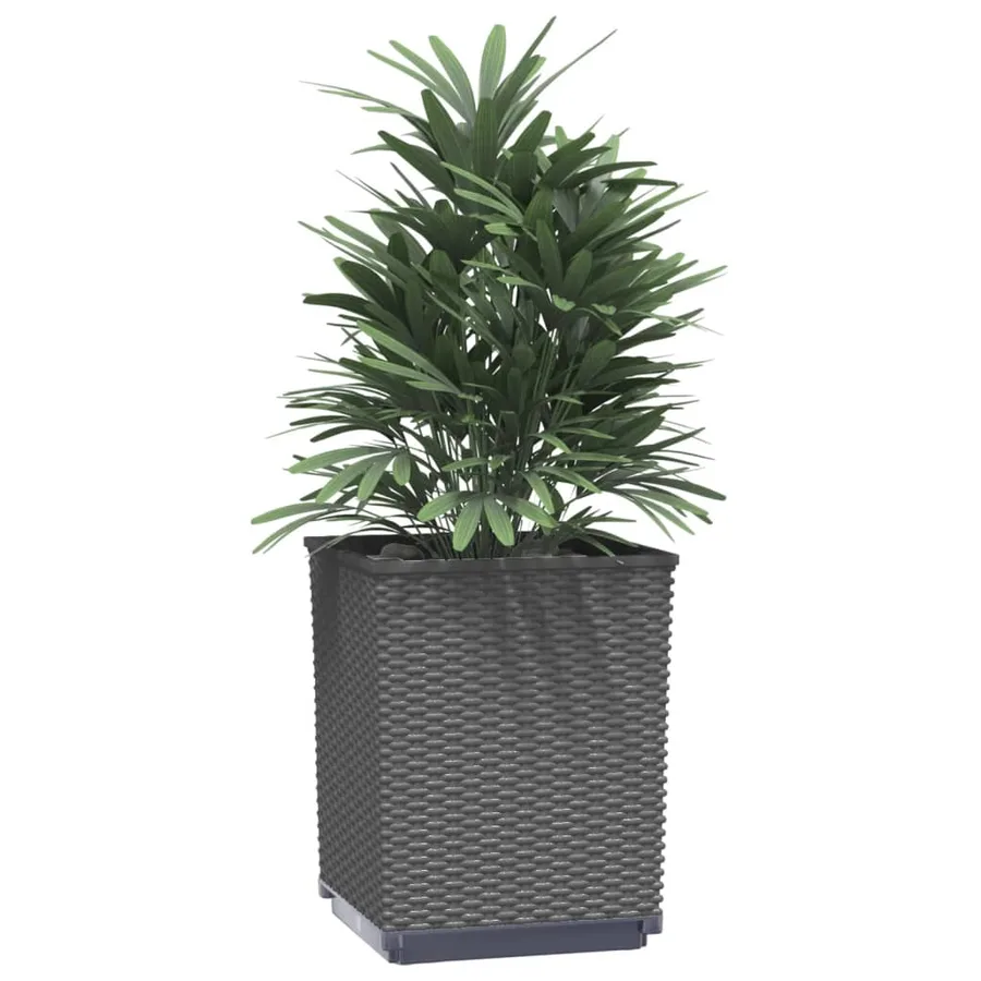 Jardinières 2 pcs noir 30x30x37 cm polypropylène - 3