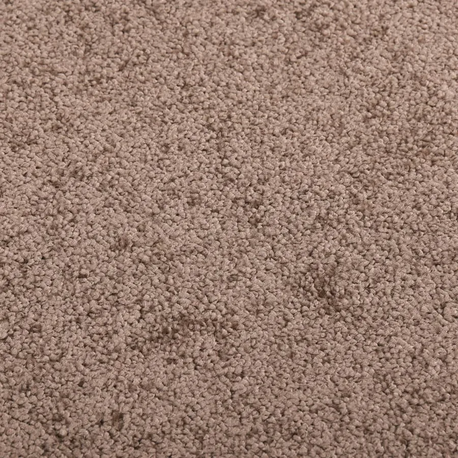 Paillasson Marron 80x120 cm - 5