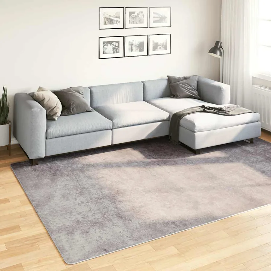 Tapis lavable 190x300 cm gris