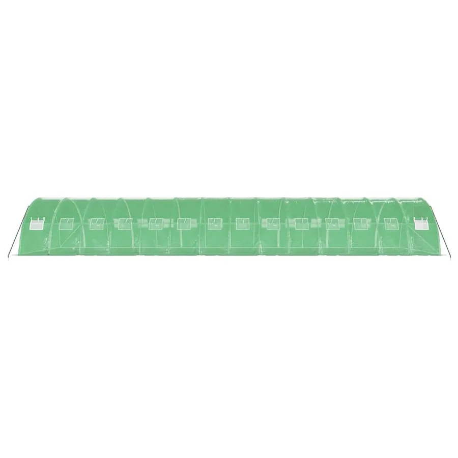 Serre avec cadre en acier vert 56 m² 14x4x2 m - 5