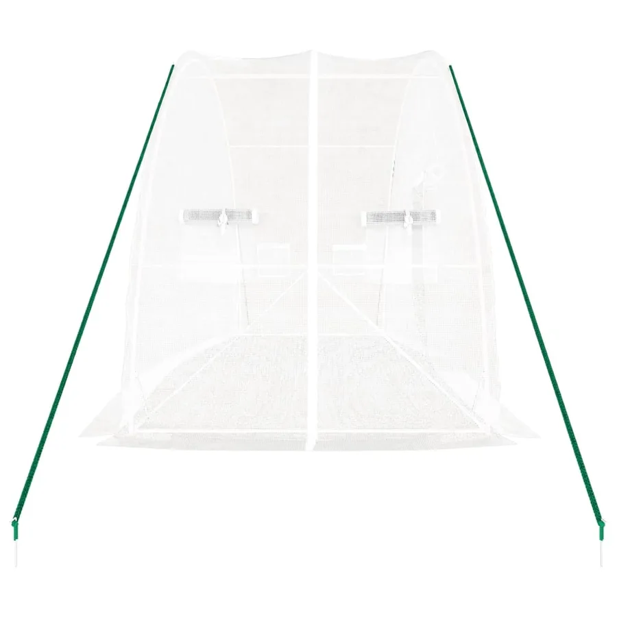 Serre avec cadre en acier blanc 12 m² 6x2x2,85 m - 5