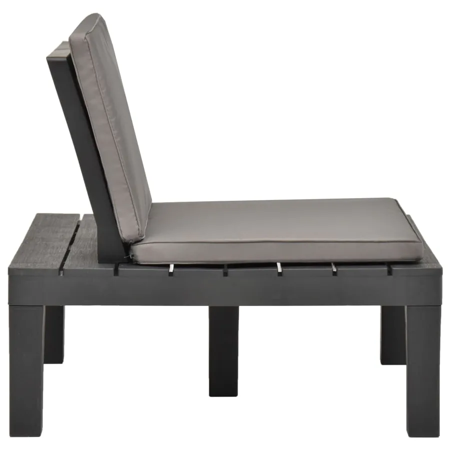 Chaises de salon de jardin et coussins 2pc Plastique Anthracite - 4