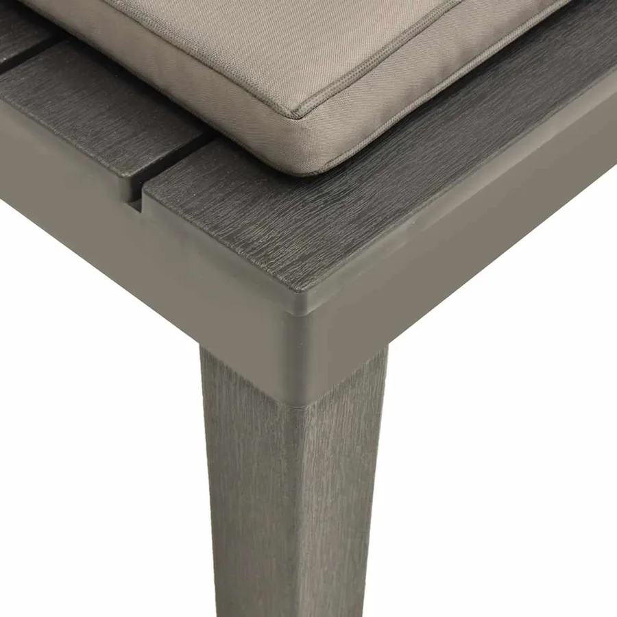 Chaises de salon de jardin et coussins 2pc Plastique Anthracite - 7