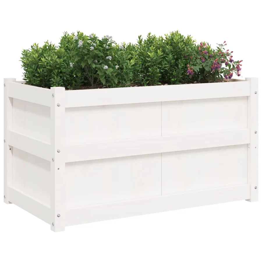 Jardinières 2 pcs blanc bois de pin massif - 4
