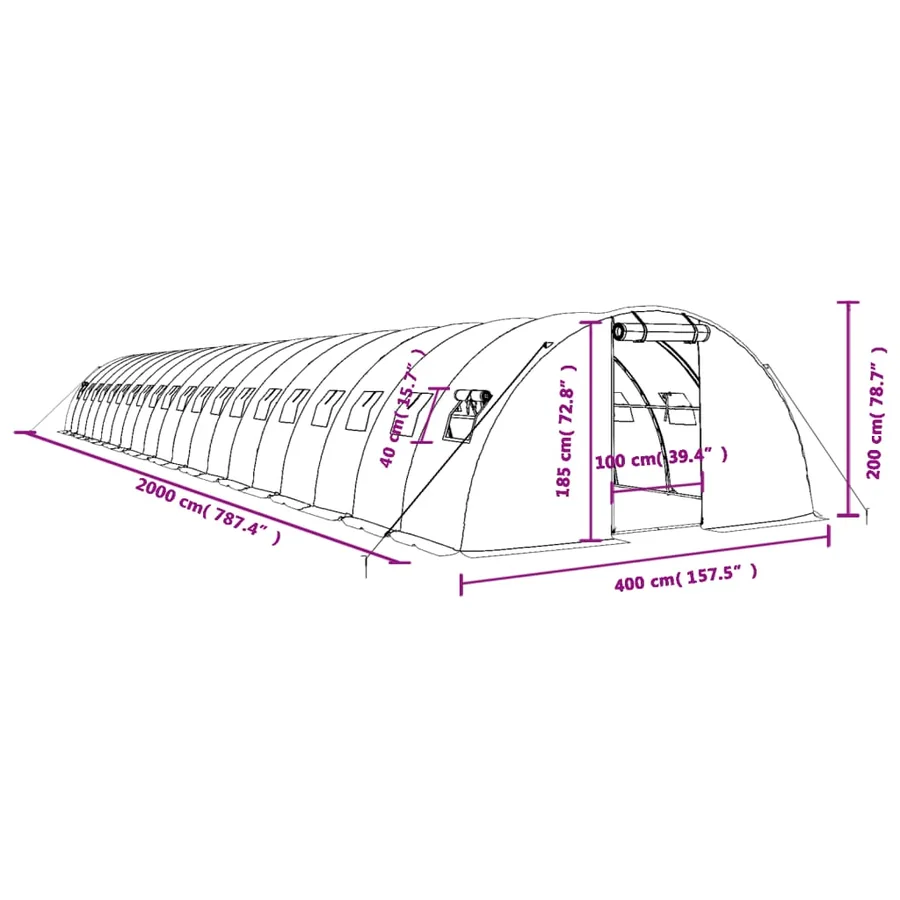 Serre avec cadre en acier vert 80 m² 20x4x2 m - 12