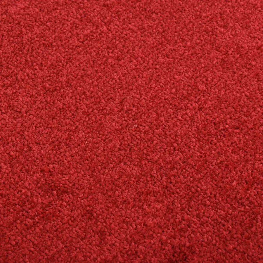Paillasson Rouge 60x80 cm - 5