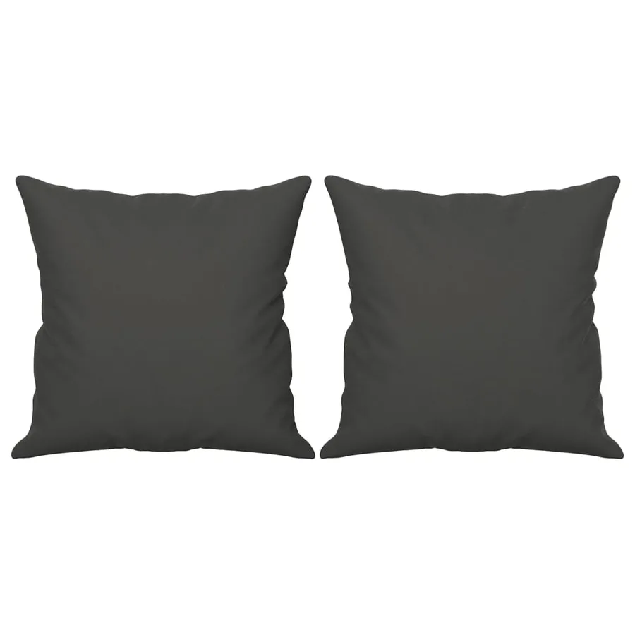 Coussins décoratifs lot de 2 Gris foncé Tissu microfibre - 2