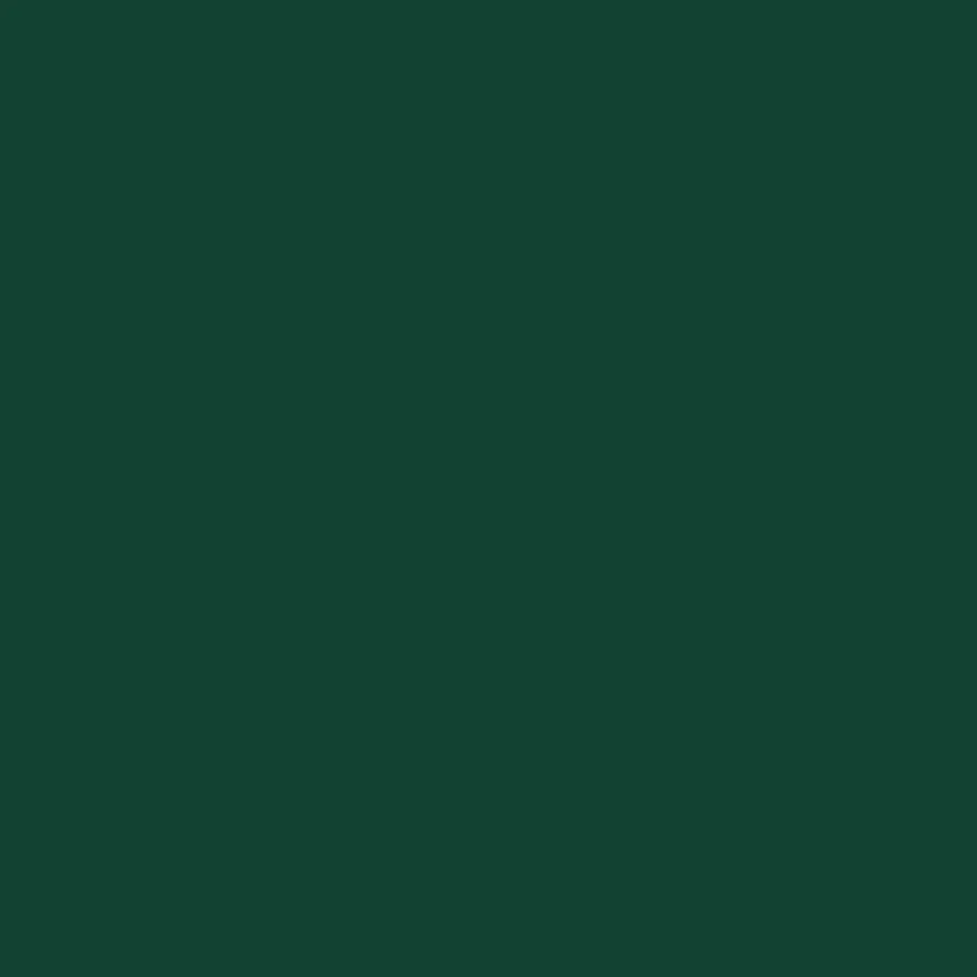 Abri de jardin vert 277x93x179 cm acier galvanisé - 8