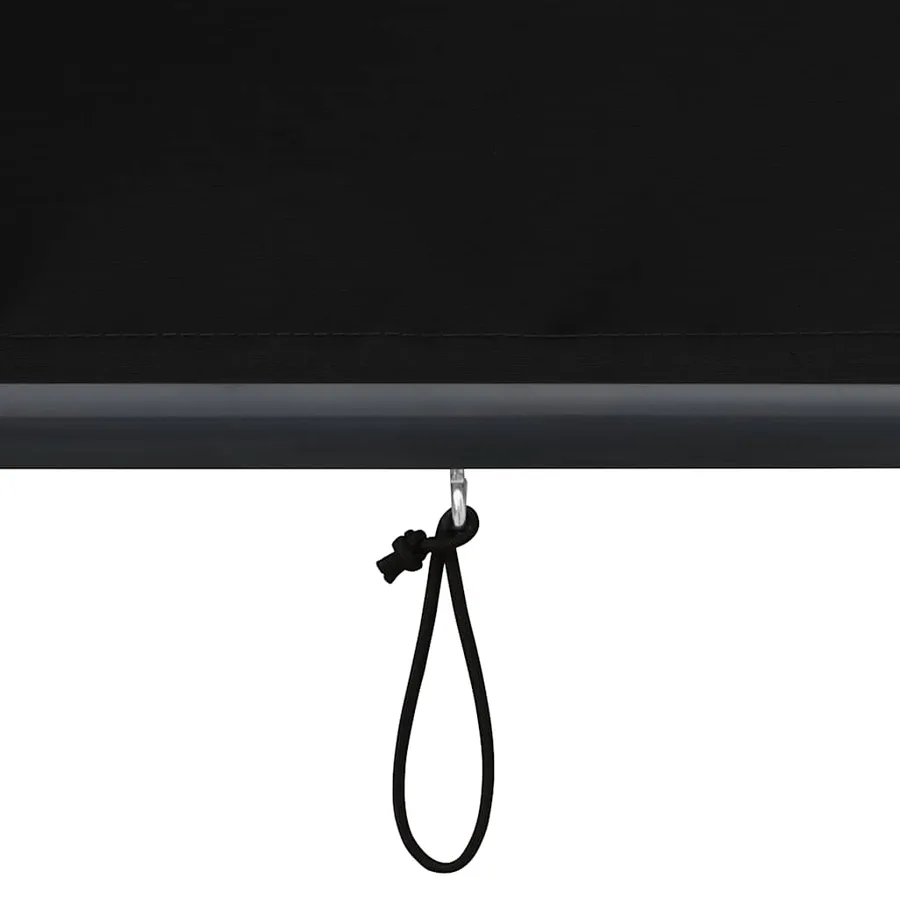 Store roulant d'extérieur 160x250 cm Anthracite - 8