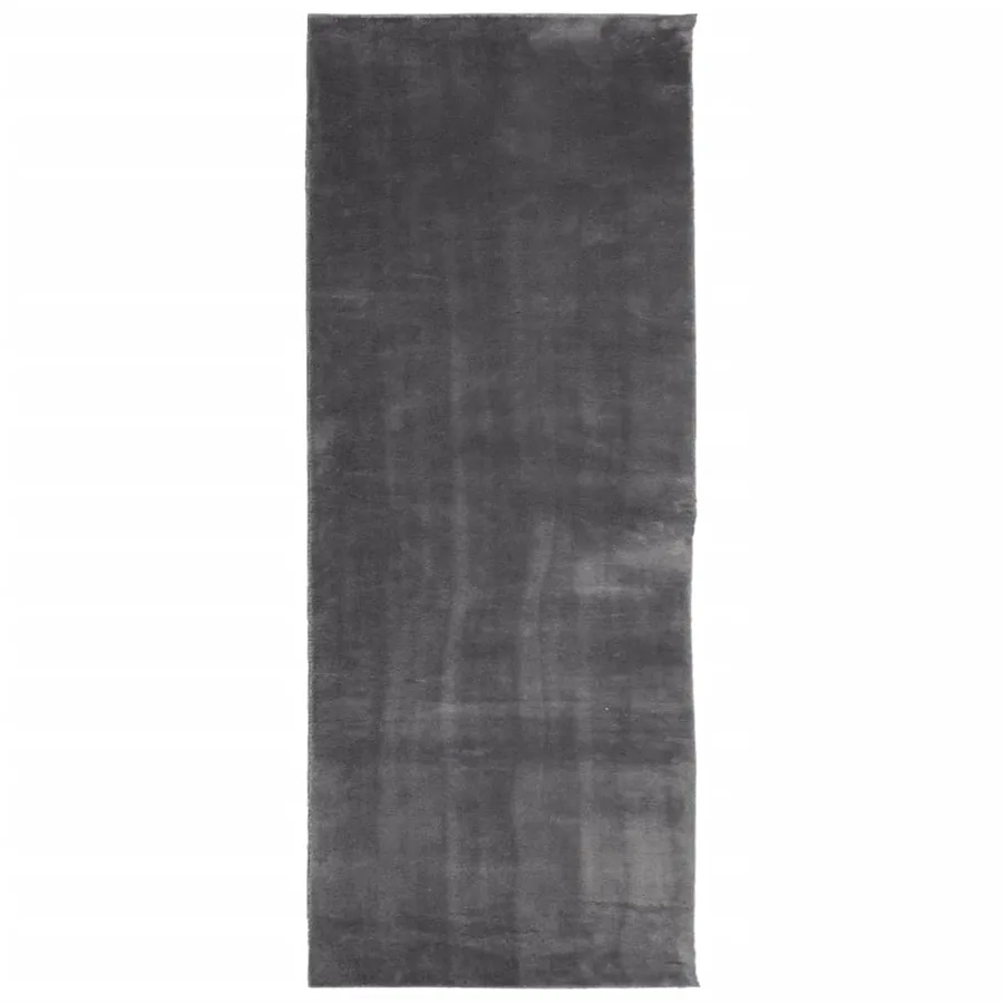Tapis HUARTE à poils courts doux et lavable anthracite 80x200cm - 2