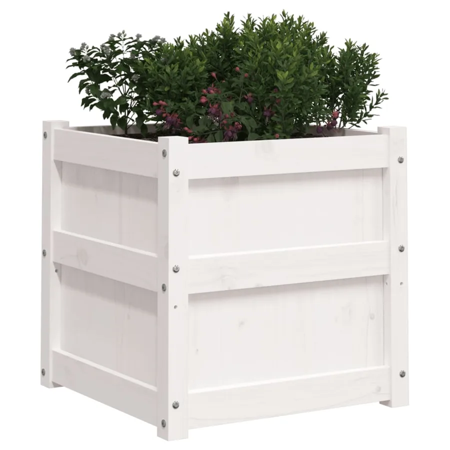 Jardinières 2 pcs blanc bois de pin massif - 4