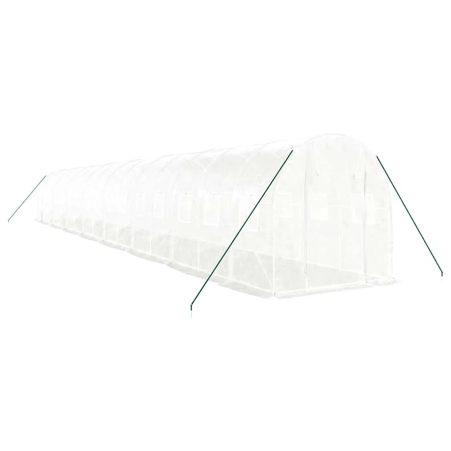 Serre avec cadre en acier blanc 32 m² 16x2x2 m - 3