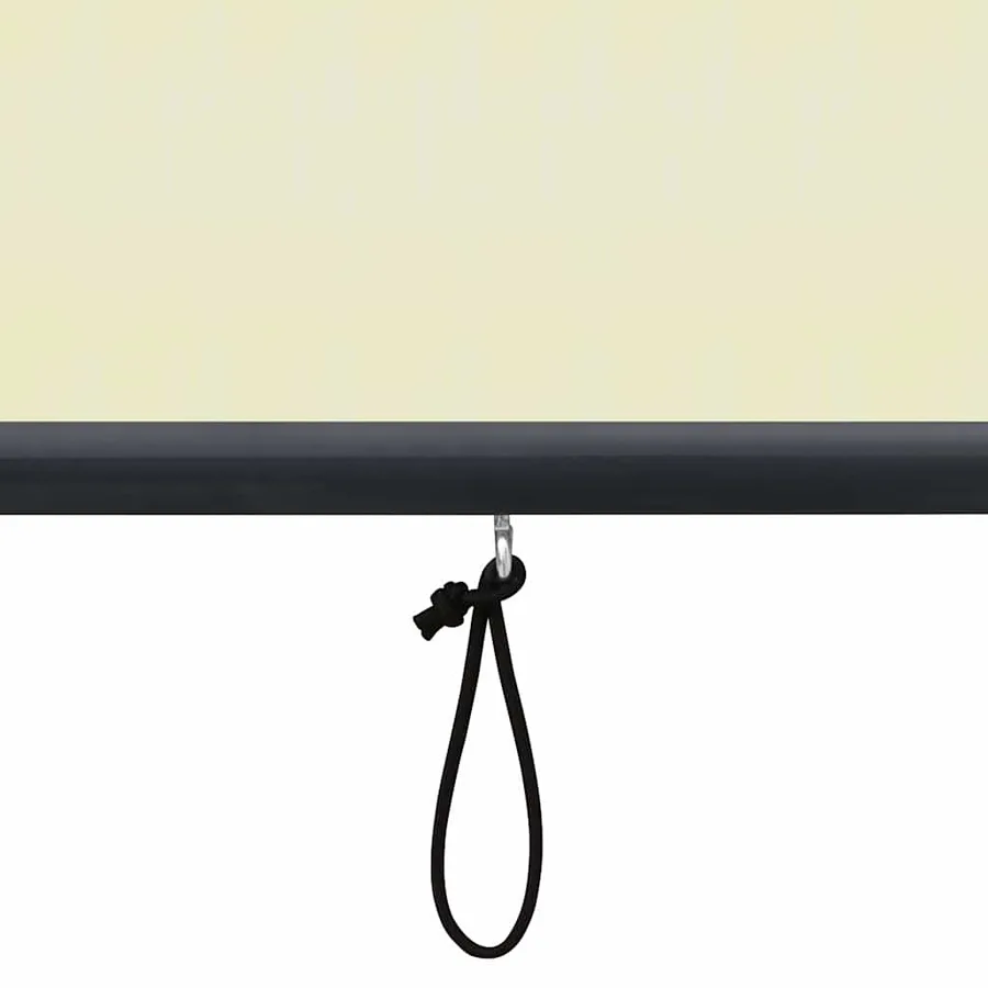 Store roulant d'extérieur 170 x 250 cm Crème - 8