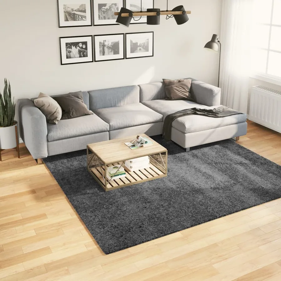 Tapis OVIEDO à poils courts anthracite 240x240 cm