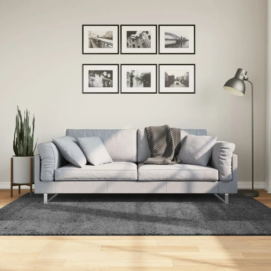Tapis OVIEDO à poils courts anthracite 140x200 cm