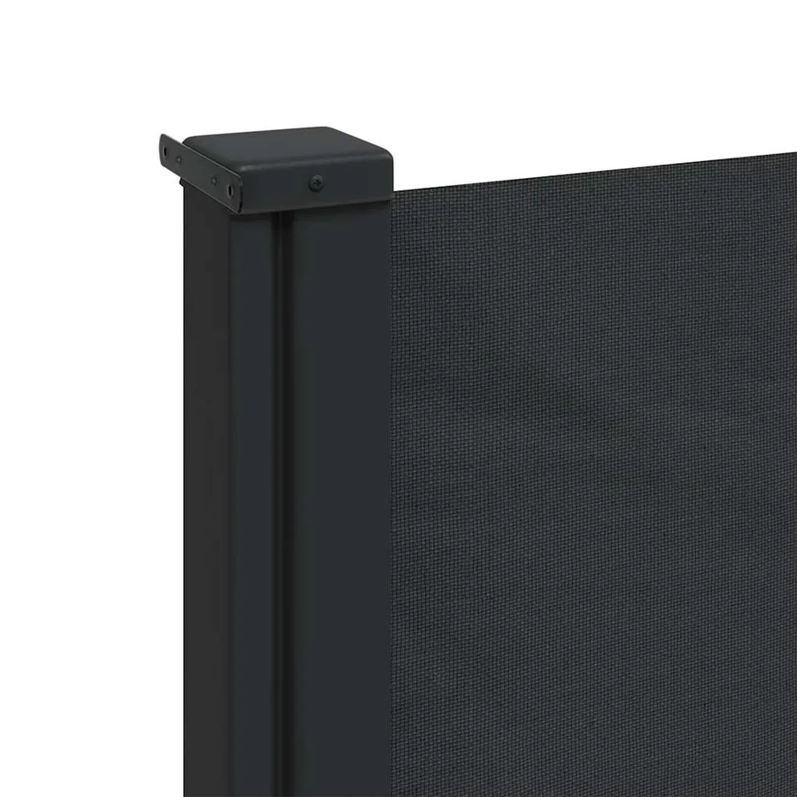 Auvent latéral rétractable noir 100x300 cm - 8
