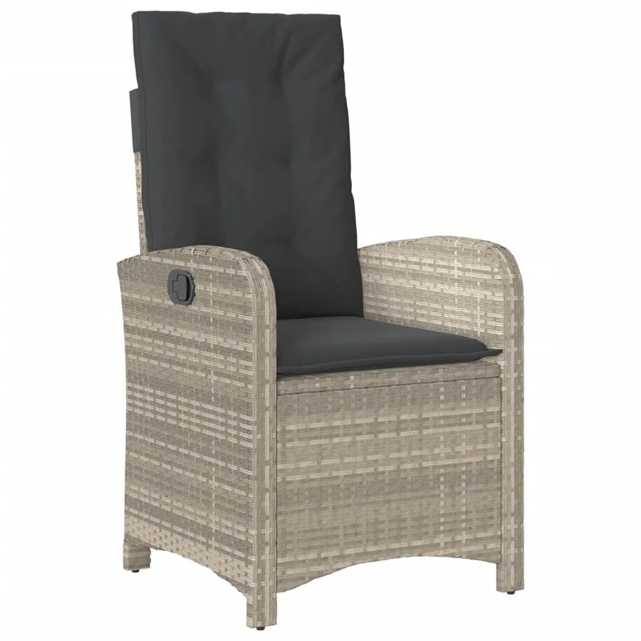 Ensemble à manger de jardin et coussins 9 pcs gris clair rotin - 4