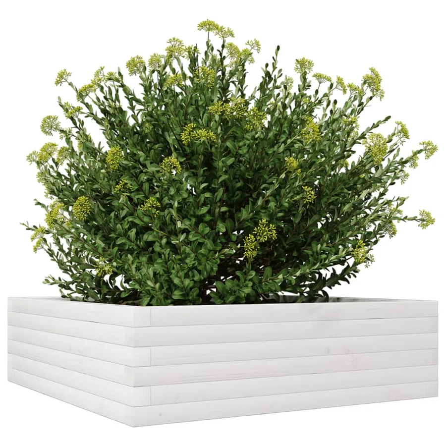 Jardinière blanc 80x80x23 cm bois de pin massif - 4