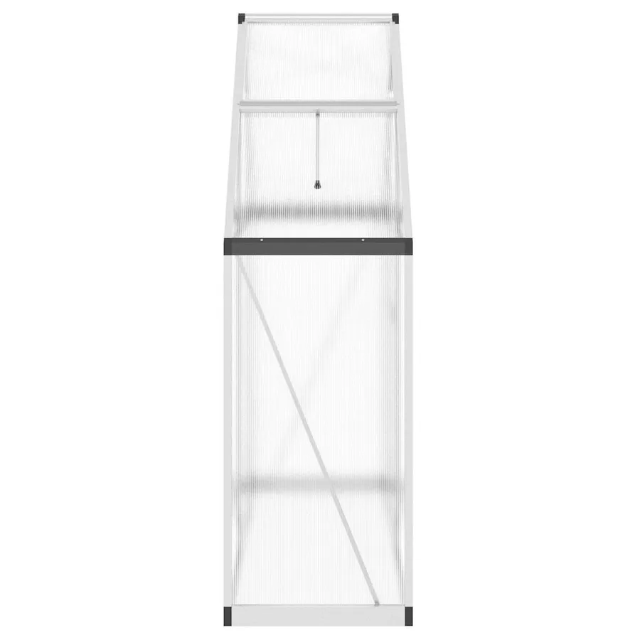 Serre avec cadre de base argent 169x58x195 cm aluminium - 4