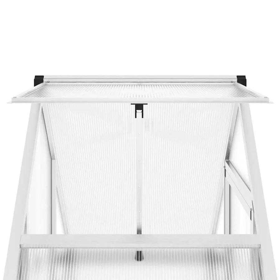 Serre avec cadre de base argent 169x58x195 cm aluminium - 9