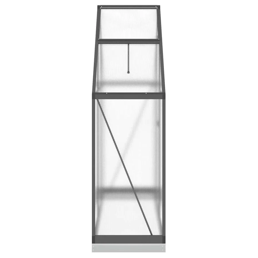 Serre avec cadre de base anthracite 169x58x202 cm aluminium - 4
