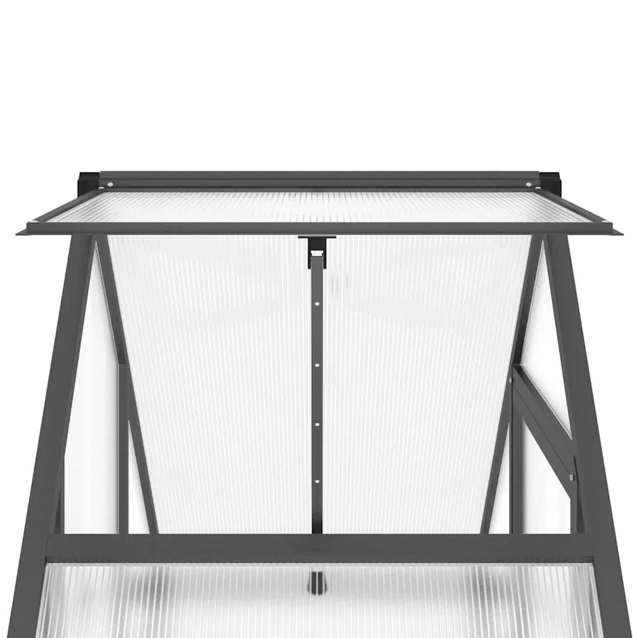 Serre avec cadre de base anthracite 169x58x202 cm aluminium - 9
