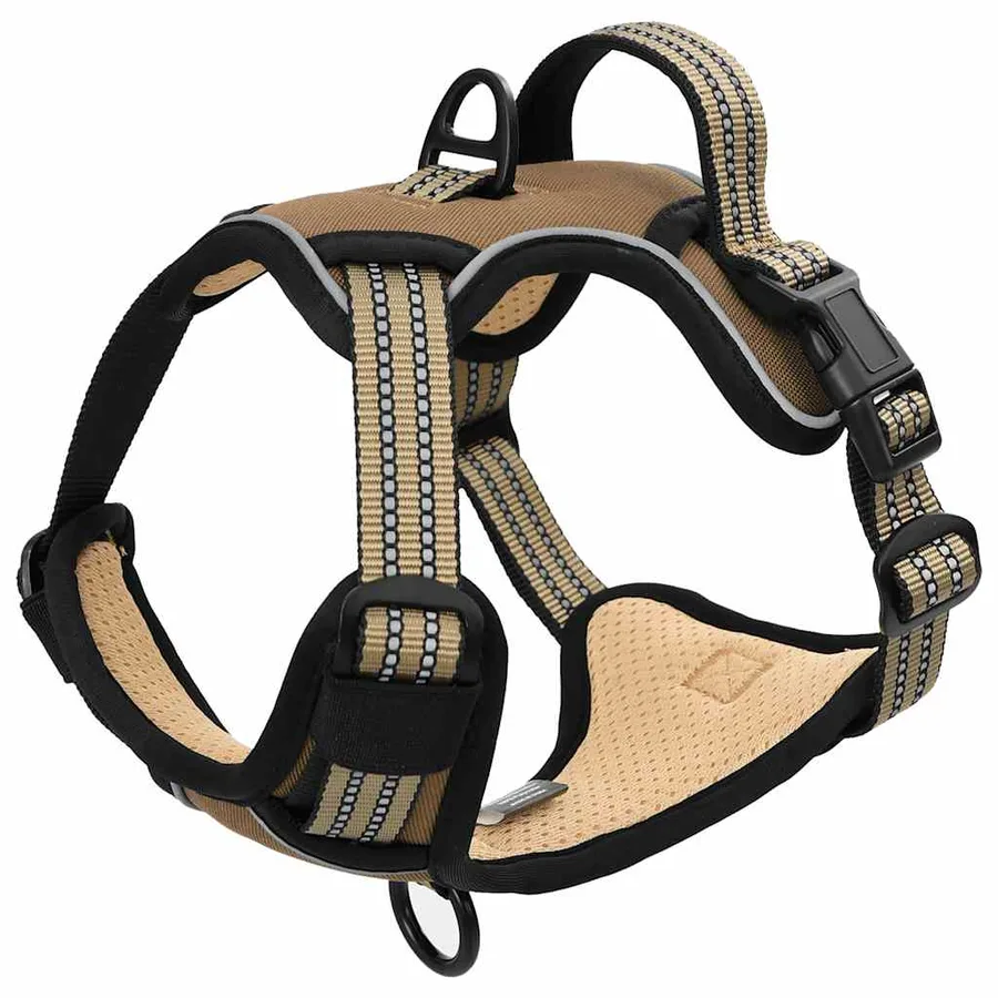 Harnais pour chien avec laisse et collier réglables marron L - 8