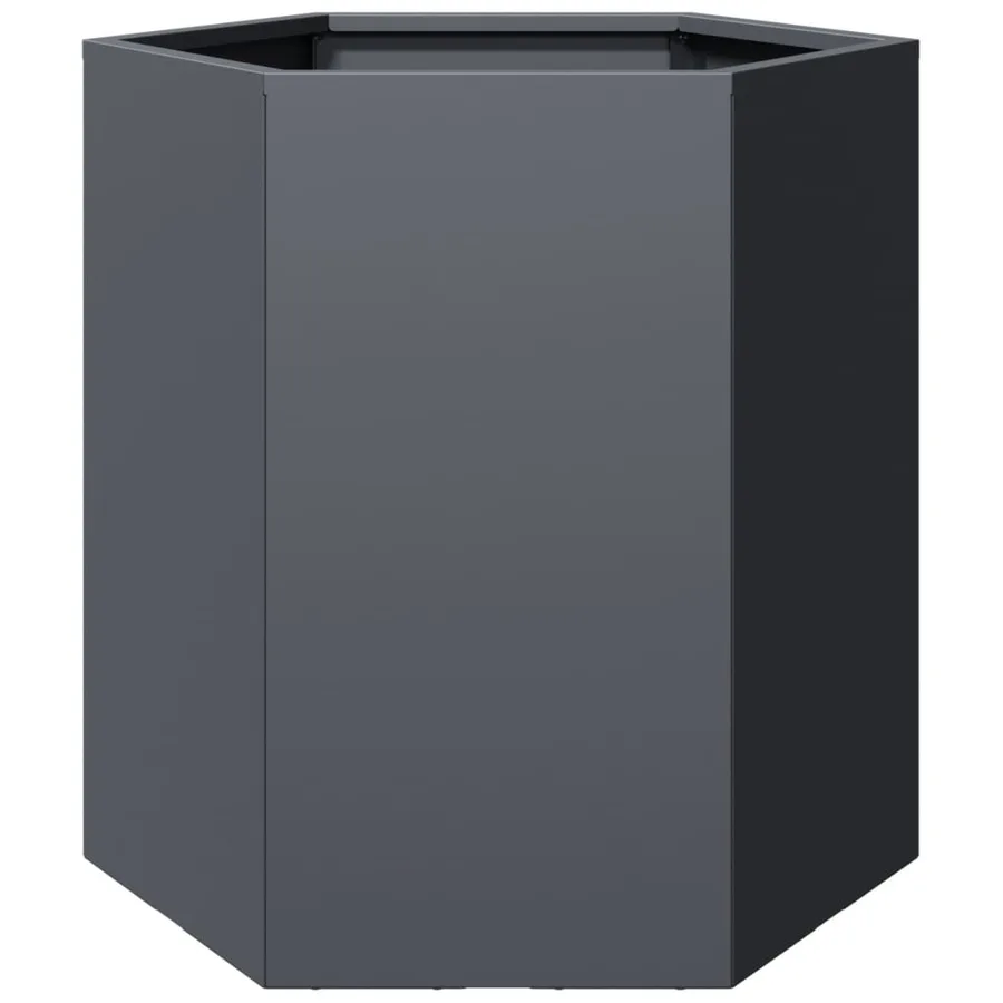 Jardinière anthracite hexagone 46x40x45 cm acier - 2