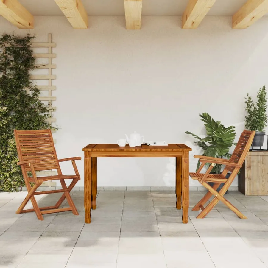 Chaises pliantes de jardin avec accoudoir lot de 2 - 3