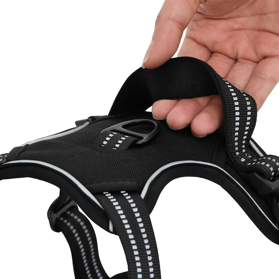 Harnais pour chien avec laisse et collier réglables noir L - 12