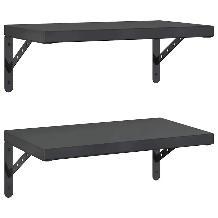 Étagères murales 2 pcs 50x30 cm noir acier inoxydable - 2