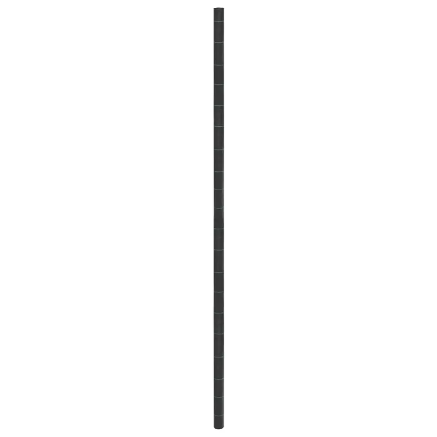 Membrane anti-mauvaises herbes noir 4x5 m PP