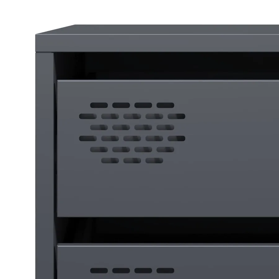 Buffet anthracite 68x39x58,5 cm acier laminé à froid - 10