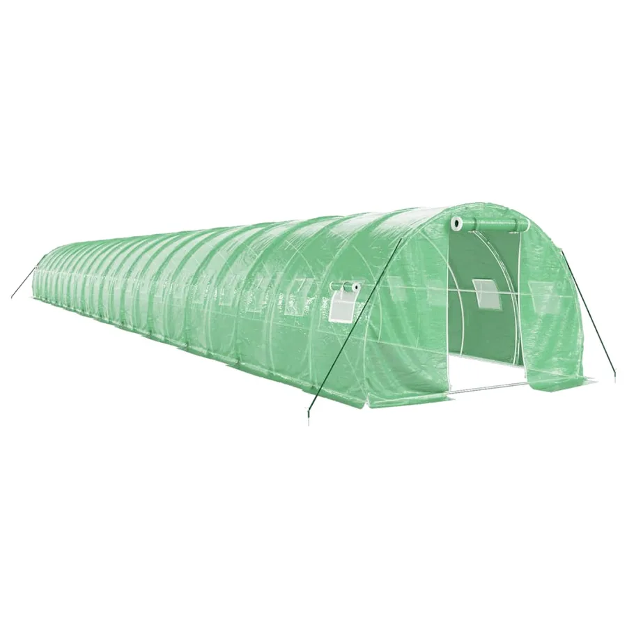 Serre avec cadre en acier vert 66 m² 22x3x2 m - 2
