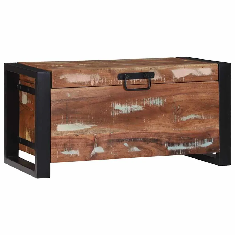 Coffres de rangement avec stockage 60 x 30 x 30 cm