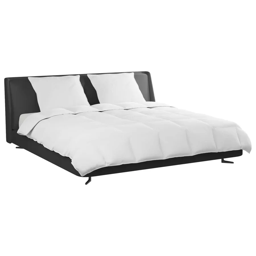 Ensemble de Duvet avec oreiller 3 pcs Blanc Plume de canard - 3