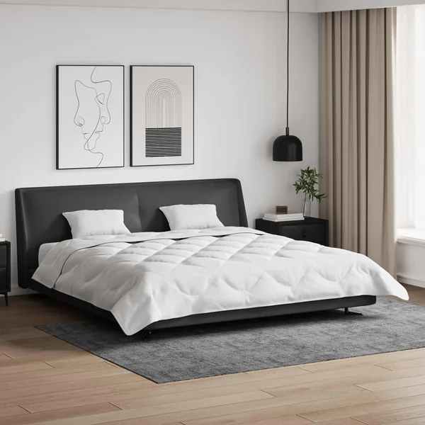 Duvet d'été simple avec oreiller 3 pcs Blanc Microfibre