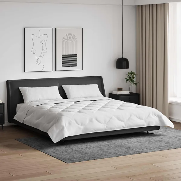 Duvet d'été simple avec oreiller 3 pcs Blanc Microfibre